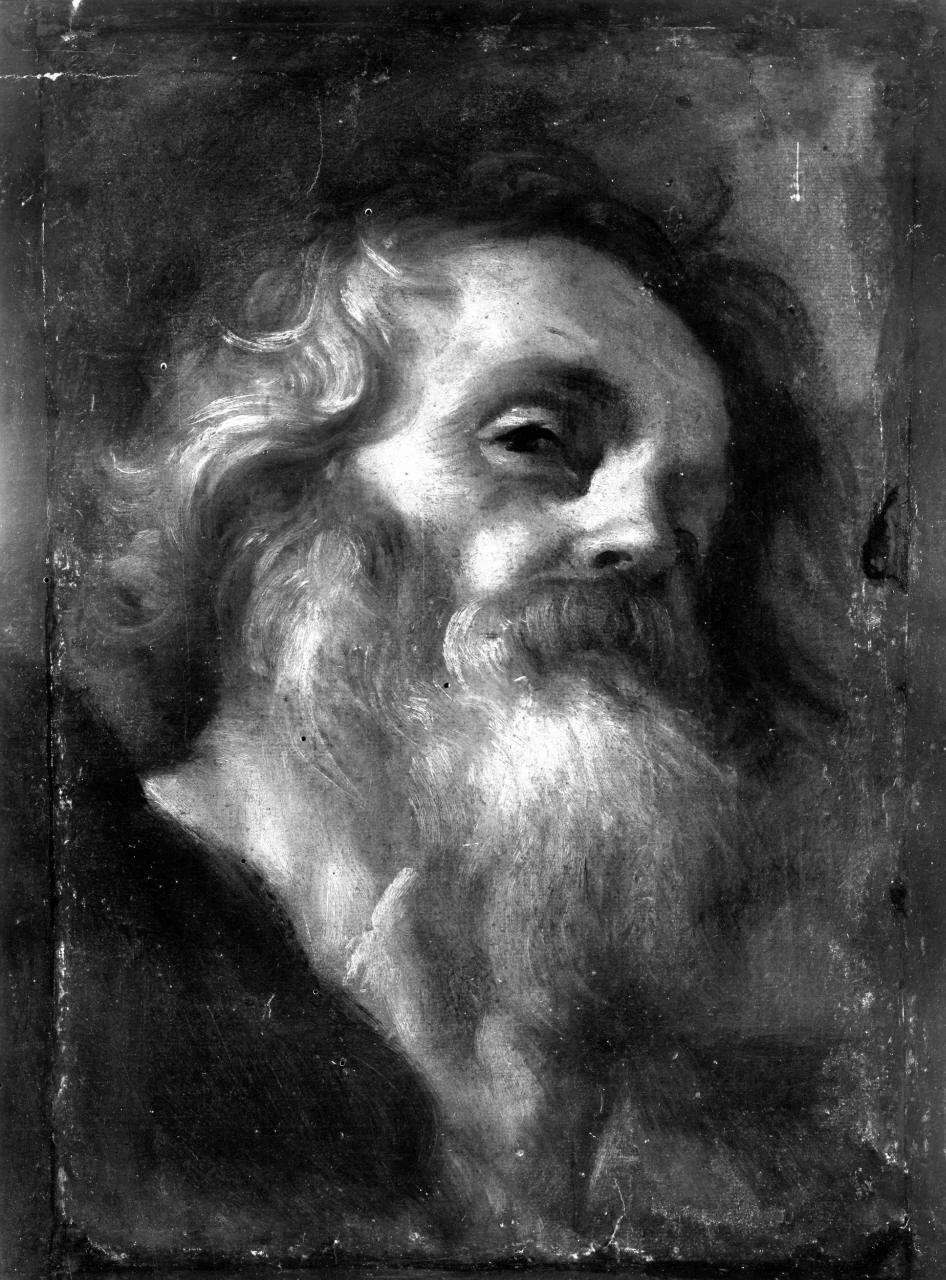 Testa d'uomo con barba - Firenze 3